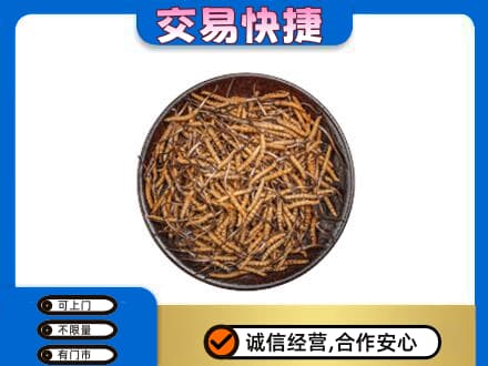 佛山禅城区回收散虫草