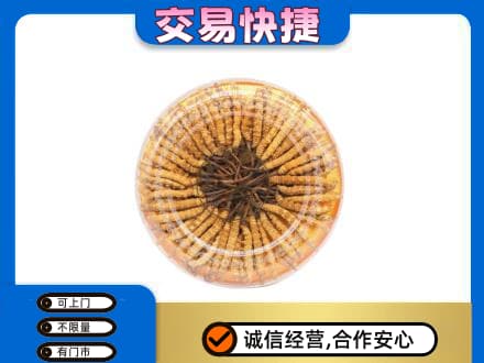 佛山禅城区回收虫草礼盒